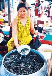 “Cá kèo nổi như mù u rụng” ảnh 3 “Cá kèo nổi như mù u rụng” ảnh 3