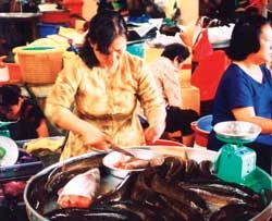 Mắm bò hóc