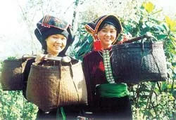 Ấn tượng bản Thái ảnh 3 Ấn tượng bản Thái ảnh 3
