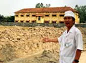 “Cây xi măng” trồng trên đất nông nghiệp