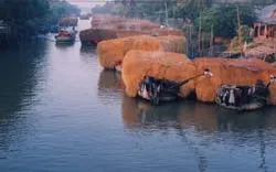 Chợ rơm đồng Tháp