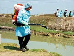 Quyết liệt phòng chống dịch cúm gia cầm