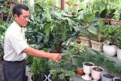 Làm giàu từ ruộng nghèo