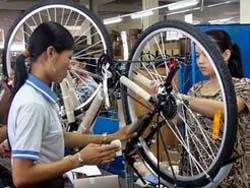 Đã có sức cạnh tranh trên thị trường quốc tế