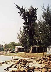 Đầm Ô Loan kêu cứu ảnh 4 Đầm Ô Loan kêu cứu ảnh 4