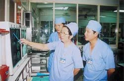 Những trái tim hồng ảnh 3 Những trái tim hồng ảnh 3