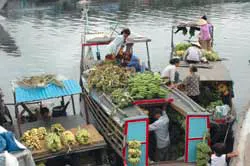 Hợp tác xã chợ tại sao không?