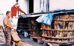 Nước mắm Phú Quốc... kêu cứu! ảnh 2 Nước mắm Phú Quốc... kêu cứu! ảnh 2