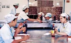 Nước mắm Phú Quốc... kêu cứu!