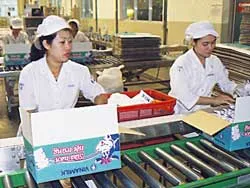 “Sân chơi” mới, lợi ích kép