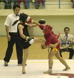 Xem chung kết tán thủ mà... sợ ! ảnh 1 Xem chung kết tán thủ mà... sợ ! ảnh 1