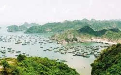 Vinh dự và thách thức ảnh 2 Vinh dự và thách thức ảnh 2