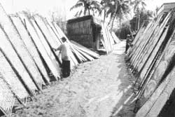 Làng bánh tráng Thuận Hưng