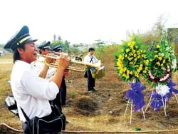 Vui như hội!