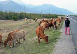 Ngày mới ở “lá chắn thép” Du Long