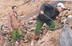 Bài 2: Thảm họa từ vàng