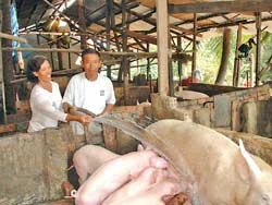 Chuyện thời bình của một kiện tướng diệt Mỹ