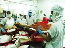 Nhận diện khó khăn ảnh 2 Nhận diện khó khăn ảnh 2