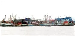 Tàu cá nằm bờ chờ gì? ảnh 2 Tàu cá nằm bờ chờ gì? ảnh 2