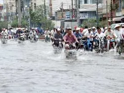 Giải pháp...