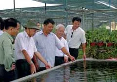 Mở rộng dân chủ, phát huy trí tuệ tập thể