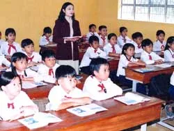 Không nên bắt buộc dạy ngoại ngữ từ bậc tiểu học