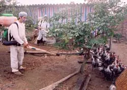 Vẫn rình rập