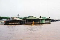 Doanh nghiệp bỏ rơi nông dân