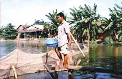 Doanh nghiệp bỏ rơi nông dân ảnh 2 Doanh nghiệp bỏ rơi nông dân ảnh 2