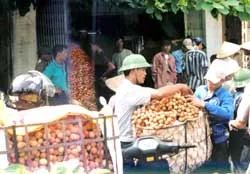 Niềm vui... thất mùa