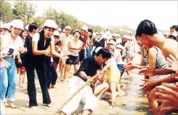 Bằng cách nào?