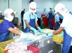 Doanh nghiệp và người nuôi phải “ngồi cùng mâm”
