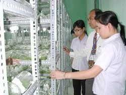 Thành lập Viện Công nghệ sinh học vùng ĐBSCL
