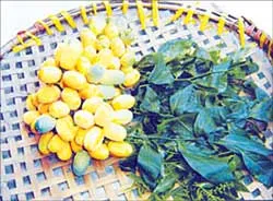 Rau sắng chùa Hương đi xa... ảnh 2 Rau sắng chùa Hương đi xa... ảnh 2