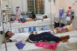 Đã có 10 trường hợp tử vong vì sốt xuất huyết