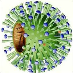 Hơn 1.000 bệnh nhi nhiễm virus cúm B