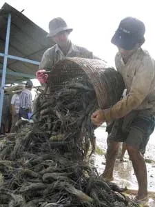 Nâng cấp cơ sở hạ tầng, đầu tư thỏa đáng cho giáo dục ảnh 2 Nâng cấp cơ sở hạ tầng, đầu tư thỏa đáng cho giáo dục ảnh 2