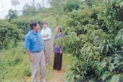 Nhà văn Sao Mai và vùng quê mới ảnh 2 Nhà văn Sao Mai và vùng quê mới ảnh 2