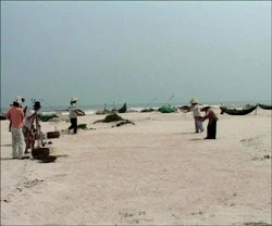 Tiếng thoi bên chân sóng