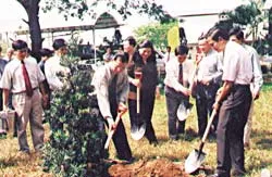 Phục chế khuôn viên và nhà sàn Bác Hồ tại Trà Vinh