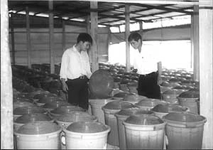 Thêm một tượng đài cho Củ Chi ảnh 2 Thêm một tượng đài cho Củ Chi ảnh 2