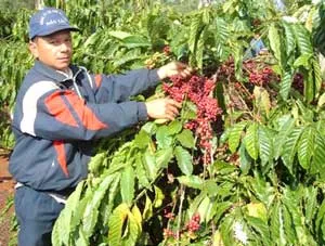 Bài học về phát huy nội lực