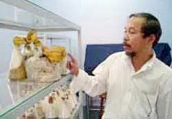 Lần đầu tiên trồng thành công nấm Hoàng chi