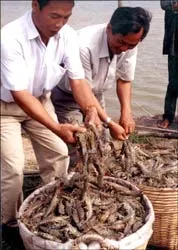 Chinh phục Đồng Năn