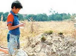“Xóm cào cào” và những hạt sương trong veo