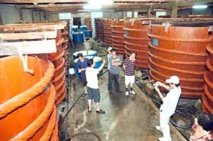 Tài sản quốc gia không thể để mất