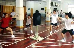 Thành tích quá khứ