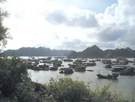Lung linh đảo ngọc
