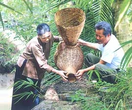 “Tiếng chuông trôi trên sông”