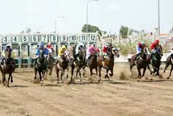 Câu chuyện con ngựa đua